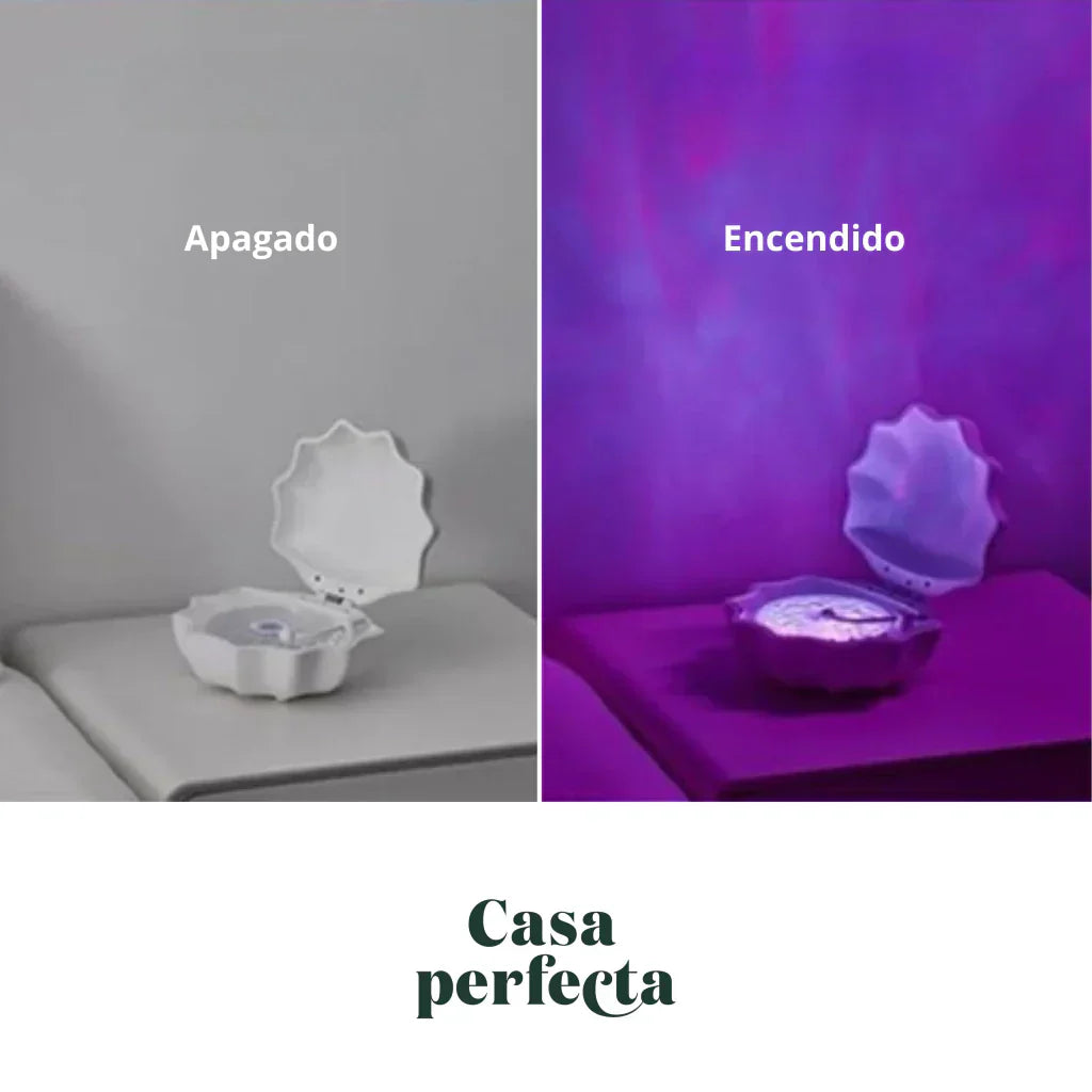 Decorative Shell Lamp | Ambient Lighting
