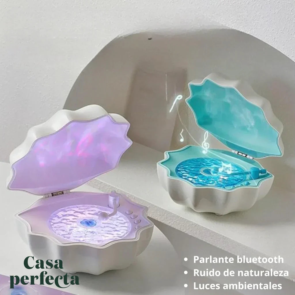 Decorative Shell Lamp | Ambient Lighting